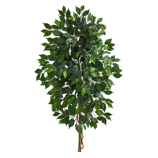 4ft. Single Ficus Tree 4 4ft. Single Ficus Tree - Image 2
