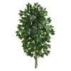 4ft. Single Ficus Tree 1 4ft. Single Ficus Tree -Flowers Michael Store D294258S 1