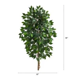 4ft. Single Ficus Tree 8 4ft. Single Ficus Tree -Flowers Michael Store D294258S 2