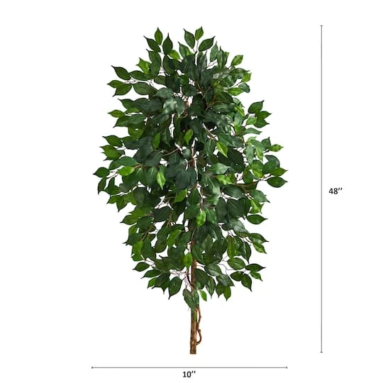 4ft. Single Ficus Tree 5 4ft. Single Ficus Tree - Image 3