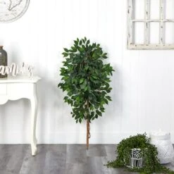 4ft. Single Ficus Tree 9 4ft. Single Ficus Tree -Flowers Michael Store D294258S 3
