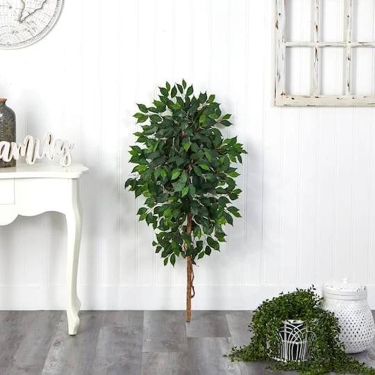 4ft. Single Ficus Tree 6 4ft. Single Ficus Tree - Image 4
