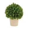 10" Boxwood Topiary In Decorative Planter -Flowers Michael Store D302792S 1