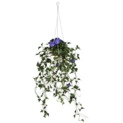 3.5ft. Purple Morning Glory Hanging Plant
