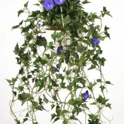 3.5ft. Purple Morning Glory Hanging Plant -Flowers Michael Store D303366S 4