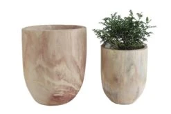 Hello Honey® Rounded Paulownia Wood Pots Set