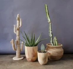 Hello Honey® Rounded Paulownia Wood Pots Set -Flowers Michael Store D319012S 2