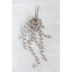 Hello Honey® Green & Light Pink Trailing Succulent 8 Hello Honey® Green & Light Pink Trailing Succulent -Flowers Michael Store D320257S 2