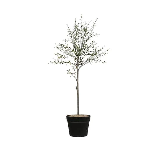 Hello Honey® 29" Potted Thyme Topiary Tree 4 Hello Honey® 29" Potted Thyme Topiary Tree - Image 2