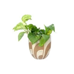 Hello Honey® 6" Hand Painted Terracotta Planter -Flowers Michael Store D320440S 5