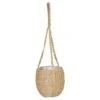 Hello Honey® Handwoven Hanging Seagrass Basket Planter -Flowers Michael Store D320508S 1