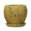 Hello Honey® 5" Distressed Yellow Terra Cotta Planter With Saucer Set -Flowers Michael Store D321309S 1