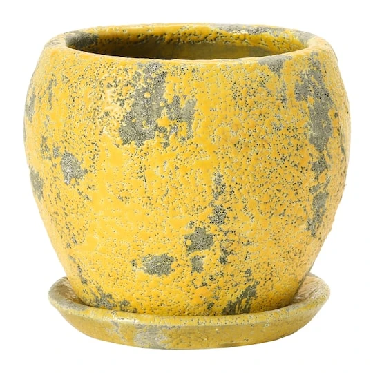 Hello Honey® 5" Distressed Yellow Terra Cotta Planter With Saucer Set 5 Hello Honey® 5" Distressed Yellow Terra Cotta Planter With Saucer Set - Image 3