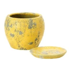 Hello Honey® 5" Distressed Yellow Terra Cotta Planter With Saucer Set 14 Hello Honey® 5" Distressed Yellow Terra Cotta Planter With Saucer Set -Flowers Michael Store D321309S 4