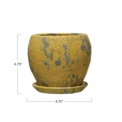 Hello Honey® 5" Distressed Yellow Terra Cotta Planter With Saucer Set 17 Hello Honey® 5" Distressed Yellow Terra Cotta Planter With Saucer Set -Flowers Michael Store D321309S 7