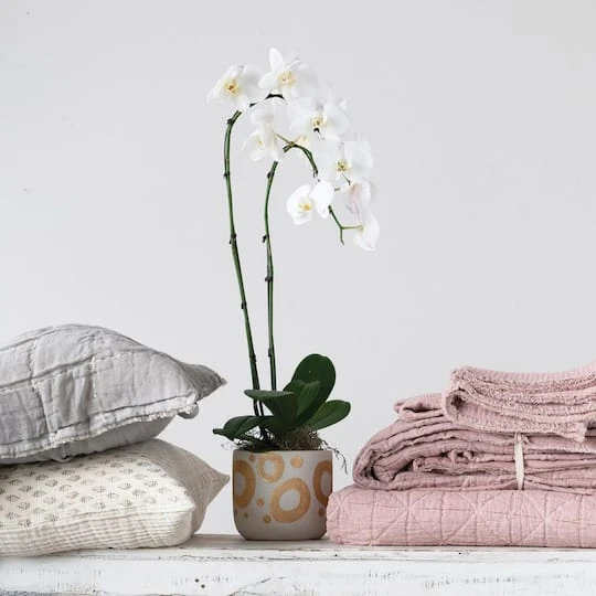 Hello Honey® 6.5" White & Gold Hand-Painted Stoneware Planter 6 Hello Honey® 6.5" White & Gold Hand-Painted Stoneware Planter - Image 4