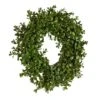 Hello Honey® 13" Green Boxwood Wreath -Flowers Michael Store D322087S 1