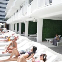 20" Ficus Style Plant Living Wall Panels, 4ct. -Flowers Michael Store D329628S 7