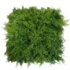 20" Maya Style Plant Living Wall Panels, 4ct. -Flowers Michael Store D329641S 1