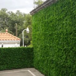 20" Maya Style Plant Living Wall Panels, 4ct. -Flowers Michael Store D329641S 4