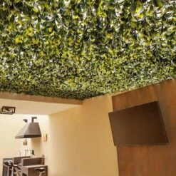 51" Expandable Lemon Leaf Lattice Screen -Flowers Michael Store D329646S 7