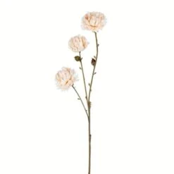 Ivory Mum Spray, 4ct. 5 Ivory Mum Spray, 4ct. -Flowers Michael Store D333767S 1 1