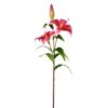 Pink Lily Spray -Flowers Michael Store D333778S 1