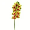 Green Boat Orchid Stem -Flowers Michael Store D333812S 1