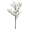 White Magnolia Spray -Flowers Michael Store D333818S 1