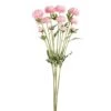 Pink Daisy Spray, 4ct. -Flowers Michael Store D333834S 1