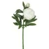 Cream Peony Stem, 3ct. -Flowers Michael Store D333855S 1
