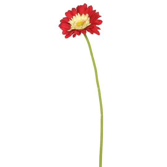 Red Gerbera Daisy Stem, 6ct. 4 Red Gerbera Daisy Stem, 6ct. - Image 2