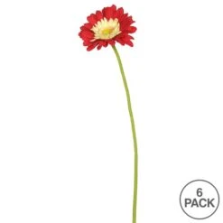 Red Gerbera Daisy Stem, 6ct. 10 Red Gerbera Daisy Stem, 6ct. -Flowers Michael Store D333863S 3