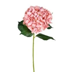 Pink Hydrangea Stem, 2ct. -Flowers Michael Store D333864S 1 1