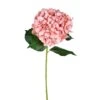 Pink Hydrangea Stem, 2ct. -Flowers Michael Store D333864S 1