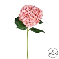 Pink Hydrangea Stem, 2ct. -Flowers Michael Store D333864S 3