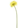 Yellow Daisy Stem, 6ct. 1 Yellow Daisy Stem, 6ct. -Flowers Michael Store D333865S 1