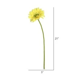 Yellow Daisy Stem, 6ct. 9 Yellow Daisy Stem, 6ct. -Flowers Michael Store D333865S 2