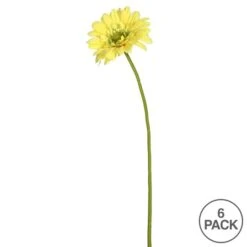 Yellow Daisy Stem, 6ct. 10 Yellow Daisy Stem, 6ct. -Flowers Michael Store D333865S 3