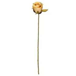Mustard Rose Stem, 12ct. -Flowers Michael Store D333876S 1 1