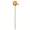 Mustard Rose Stem, 12ct. -Flowers Michael Store D333876S 1