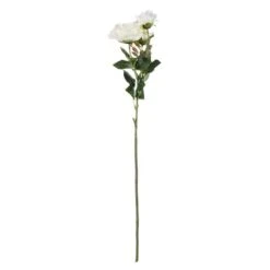White Rose Stem, 3ct.