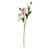 Pink Peony Spray, 6ct. -Flowers Michael Store D333888S 1