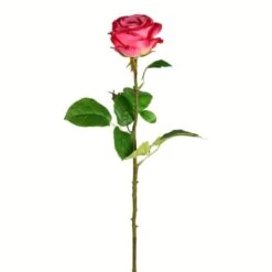 Deep Pink Rose Stem, 6ct. -Flowers Michael Store D333917S 1 1
