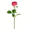 Deep Pink Rose Stem, 6ct. -Flowers Michael Store D333917S 1