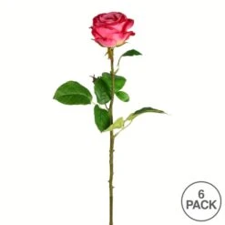 Deep Pink Rose Stem, 6ct. -Flowers Michael Store D333917S 3