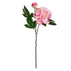 Light Pink Peony Stem, 6ct. -Flowers Michael Store D333927S 1 1