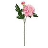 Light Pink Peony Stem, 6ct. -Flowers Michael Store D333927S 1