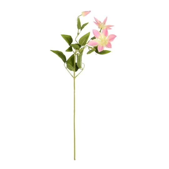 Pink Clematis Stem, 6ct. 4 Pink Clematis Stem, 6ct. - Image 2