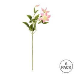 Pink Clematis Stem, 6ct. 9 Pink Clematis Stem, 6ct. -Flowers Michael Store D333932S 3